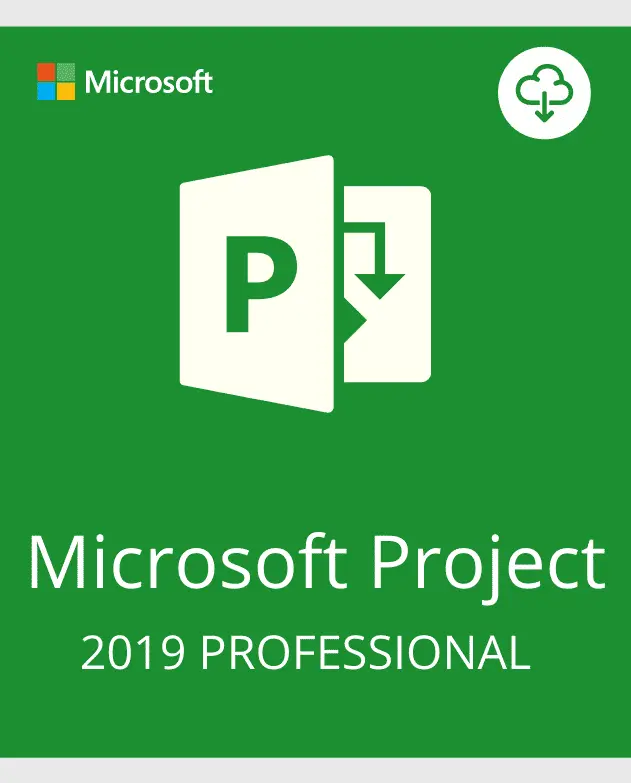 PROJECT 2019 PROFESSIONAL