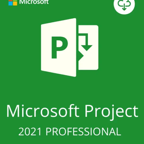 PROJECT PROFESSIONAL 2021